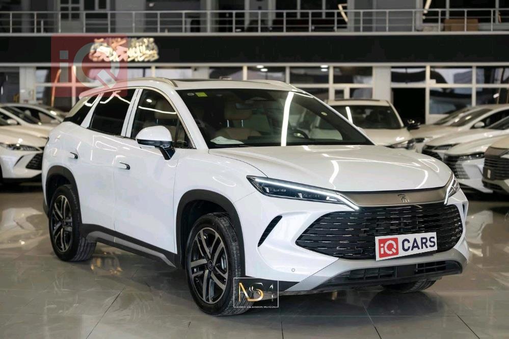 بي واي دي سونغ L DM-i