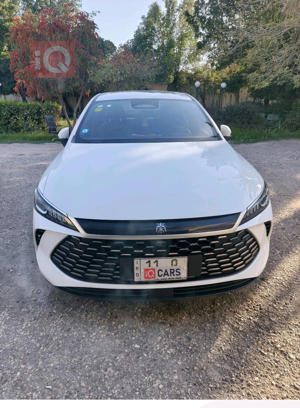 بي واي دي Qin Plus