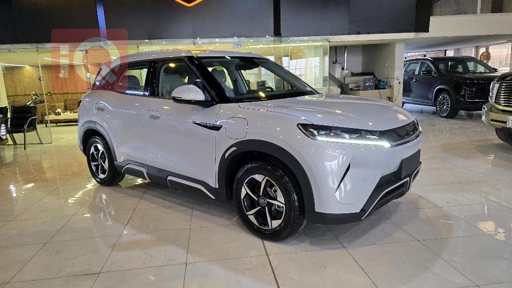 بي واي دي سونغ برو DM-i