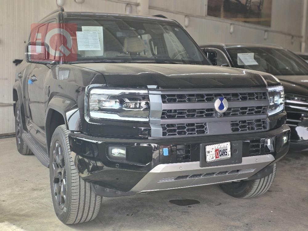 دينزا B5