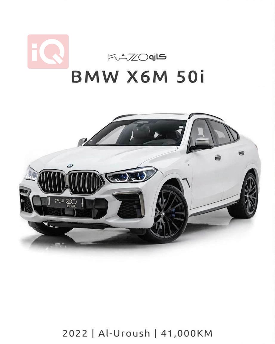 بي ام دبليو X6