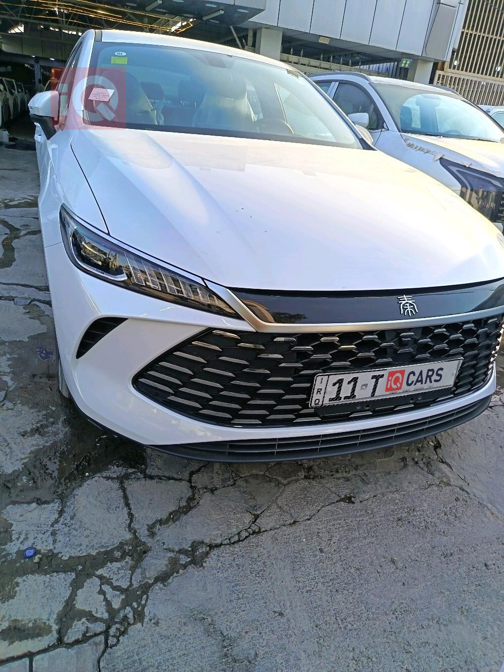 بي واي دي Qin Plus