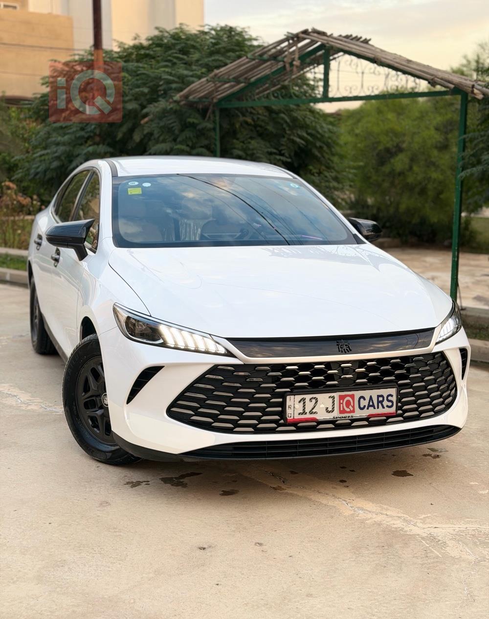 بي واي دي Qin Plus