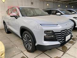 2025 جيتور داشينج