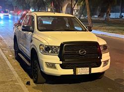ZX AUTO Terralord 2021