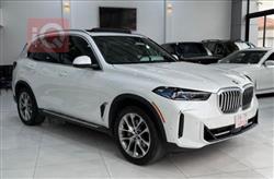 BMW X5 2024