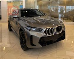 BMW X6 2024
