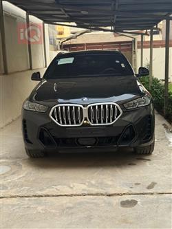 BMW X6 2024