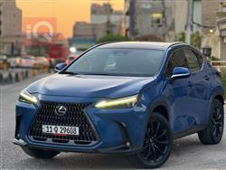 Lexus NX 2022