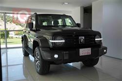 2025 GWM تانك 300