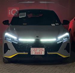 Dongfeng Shine 2025