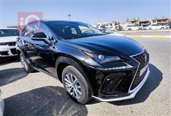 Lexus NX 2021