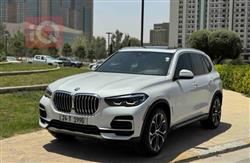 2023 بي ام دبليو X5