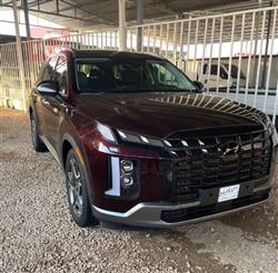 Hyundai Palisade 2024