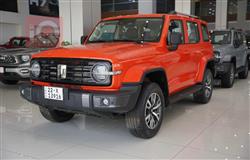 2025 GWM تانك 300