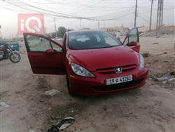 2004 بيجو 307