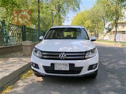 Volkswagen Tiguan 2013