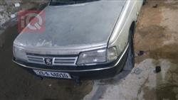 Peugeot Roa 2009
