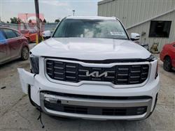 Kia Telluride 2024