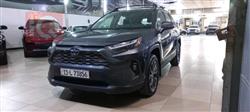 Toyota RAV4 2022