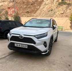 Toyota RAV4 2024
