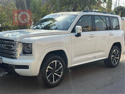 2025 هافال H9
