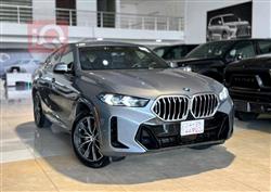 BMW X6 2024