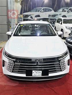 2025 بي واي دي ديستروير 05