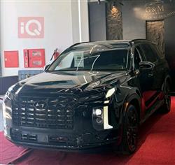 Hyundai Palisade 2024