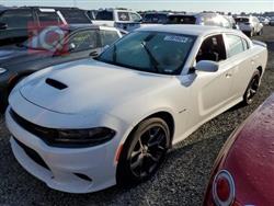 Dodge Charger 2019