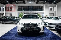 2023 بي ام دبليو X6