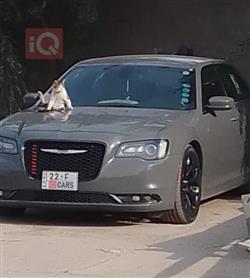 2019 كرايسلر 300