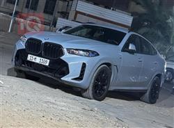 2025 بي ام دبليو X6