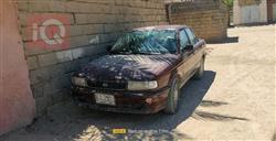 1993 نيسان صني