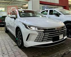 2025 بي واي دي ديستروير 05