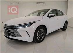 2025 بي واي دي ديستروير 05