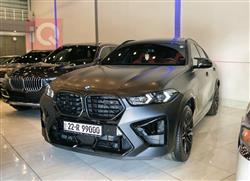 2024 بي ام دبليو X6