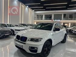 BMW X6 2013