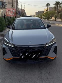 2025 دونج فينج شاين