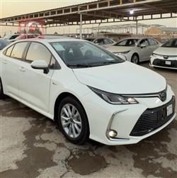 2025 تويوتا كورولا