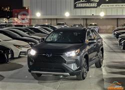 Toyota RAV4 2024