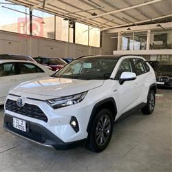 Toyota RAV4 2024