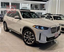 BMW X5 2024