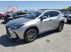 2024 لكزس NX