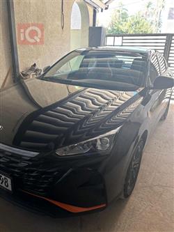 2024 دونج فينج شاين