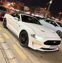 2019 فورد موستانج