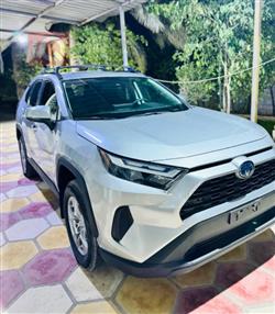 Toyota RAV4 2024