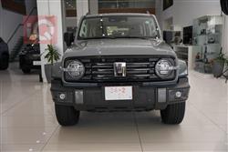 2025 GWM تانك 300
