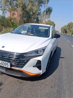 2025 دونج فينج شاين