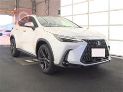 Lexus NX 2024